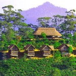 98 Acre Resorts (1)