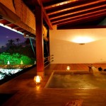 Aditya Resorts (11)