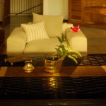 Aditya Resorts (28)
