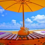 Aditya Resorts (5)
