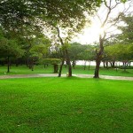 Amaaya Lake Damulla (28)