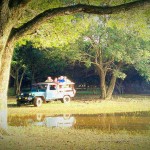 Amaaya Lake Damulla (4)