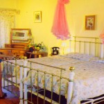 Bandarawela Hotel (13)