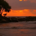 Bentota Beach Hotel (37)