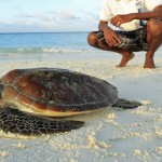 Banyan Tree Maldives Vabbinfaru (29)
