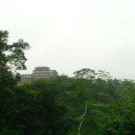 Bin Vino Hotel (3)
