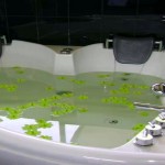 Bin Vino Hotel (9)