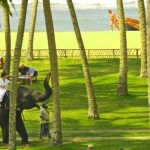Blue water resorts elephant riding