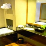 Blue water suite bathroom