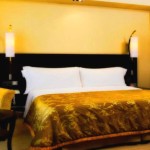 Cinnamon Grand Colombo (50)