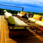 Cinnamon Wild Yala (1)