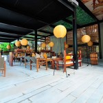 Cinnamon Wild Yala (12)