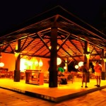 Cinnamon Wild Yala (16)