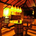Cinnamon Wild Yala (17)