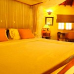 Cinnamon Wild Yala (19)
