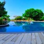 Cinnamon Wild Yala (2)