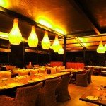 Cinnamon Wild Yala (20)