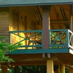 Cinnamon Wild Yala (21)