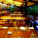 Cinnamon Wild Yala (4)