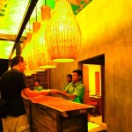 Cinnamon Wild Yala (9)