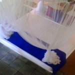 Club Villa Boutique Bentota (31)