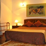 Cocoon Hills Nuwara Eliya (10)