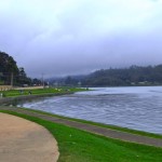Cocoon Hills Nuwara Eliya (7)