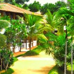 Cocoon Resorts & Villas Induruwa (5)