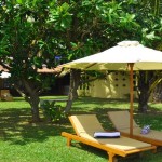 Cocoon Sea Resorts Kosgoda (21)