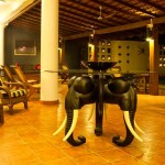 Cocoon Sea Resorts Kosgoda (42)