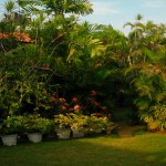 Cottage Garden Bungalow (7)
