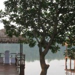 Dalmanuta Gardens Ayurveda Resorts (21)