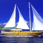Lily Beach Maldives (2)