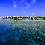 Lily Beach Maldives (9)