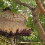 Saraii Village Wirawila (32)