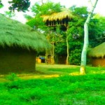 Saraii Village Wirawila (33)