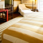 Tintagel Boutique Hotel Colombo (6)
