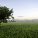 FarCry Boutique Resorts (20)
