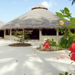 Bandos Island Resorts (4)