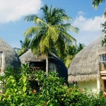 Bandos Island Resorts (50)