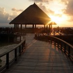 Bandos Island Resorts (59)