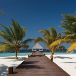 Coco Bodu Hithi (10)