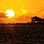 Coco Bodu Hithi (11)