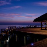 Coco Bodu Hithi (22)