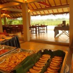 Elephas Resorts Sigiriya (8)