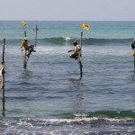 Muhudu Bella Weligama (14)