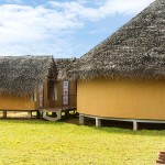 Aliya Resorts & Spa (14)