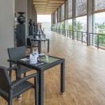 Aliya Resorts & Spa (16)
