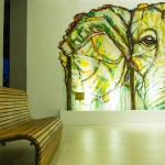 Aliya Resorts & Spa (3)