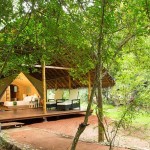 Aliya Resorts & Spa (6)